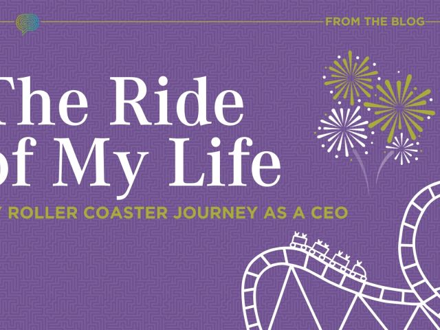 The Ride of My Life: My Roller Coaster Journey as CEO